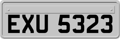 EXU5323