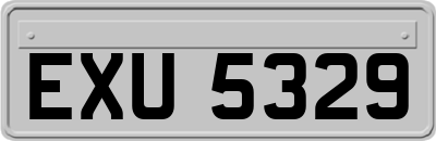 EXU5329
