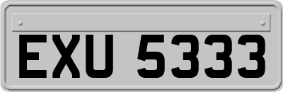 EXU5333