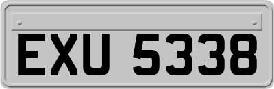 EXU5338