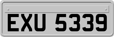 EXU5339