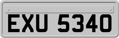 EXU5340