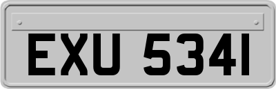 EXU5341
