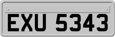 EXU5343