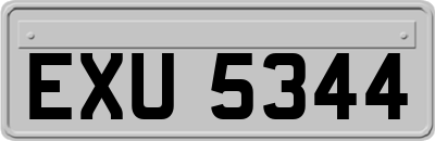 EXU5344