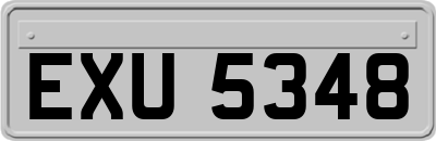 EXU5348
