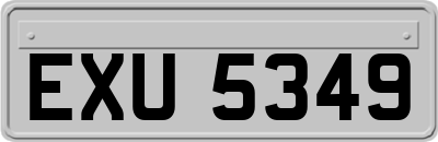 EXU5349
