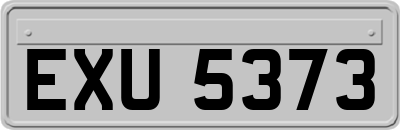 EXU5373