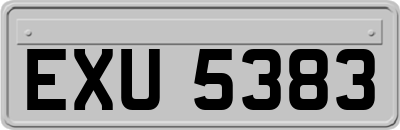 EXU5383