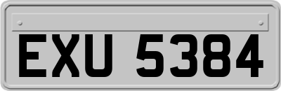 EXU5384