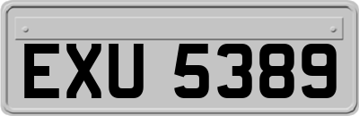 EXU5389