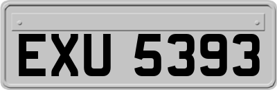 EXU5393