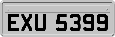 EXU5399