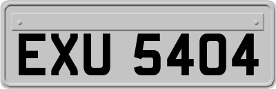 EXU5404