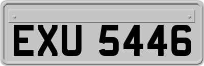 EXU5446