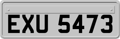 EXU5473