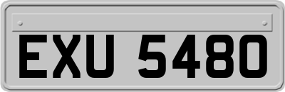 EXU5480