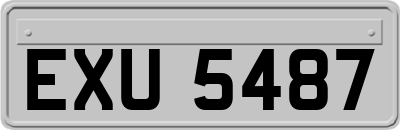EXU5487
