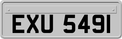 EXU5491