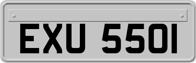 EXU5501