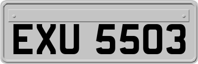 EXU5503