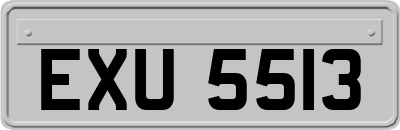 EXU5513