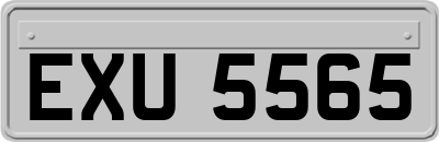 EXU5565