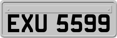 EXU5599