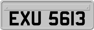 EXU5613