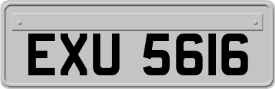 EXU5616