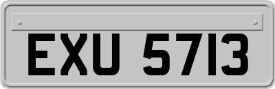 EXU5713