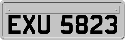 EXU5823