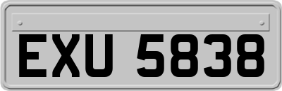EXU5838