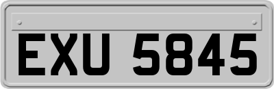 EXU5845