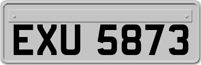 EXU5873