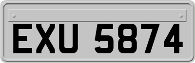 EXU5874