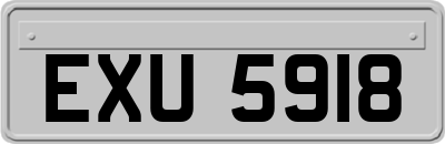 EXU5918