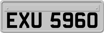 EXU5960