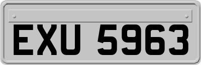 EXU5963