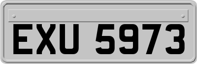 EXU5973