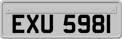 EXU5981