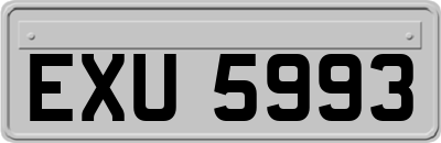 EXU5993