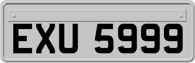 EXU5999