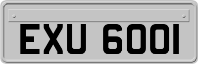 EXU6001
