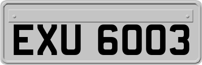 EXU6003