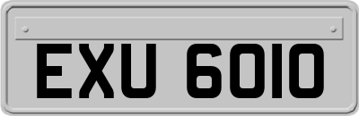 EXU6010