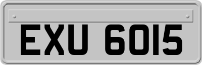 EXU6015