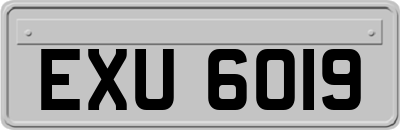 EXU6019