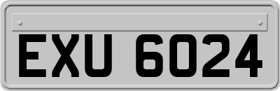 EXU6024