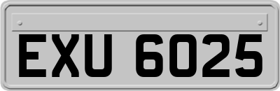 EXU6025